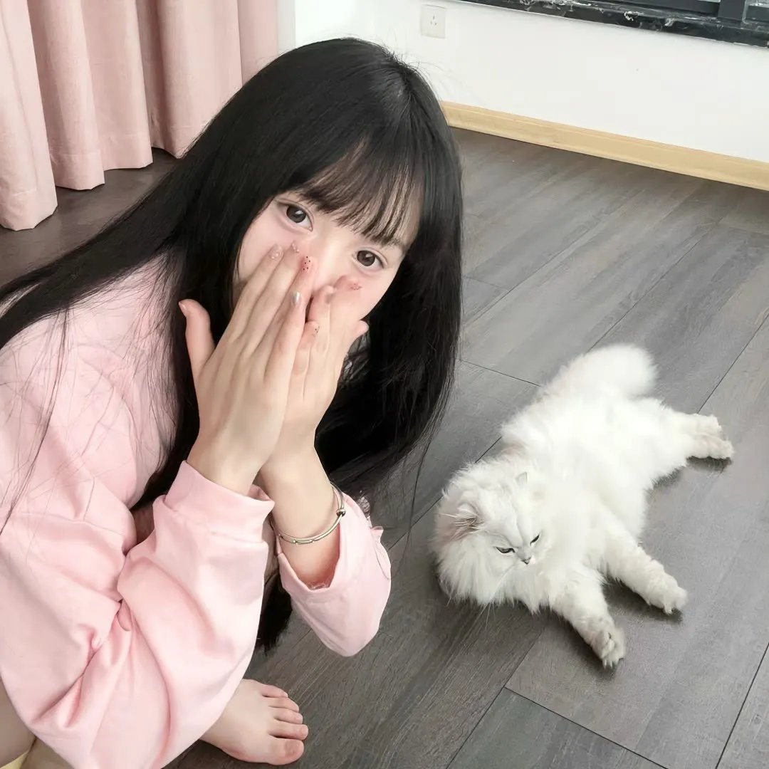 主妇狂想曲